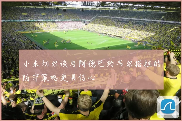 小米切尔谈与阿德巴约韦尔搭档的防守策略更具信心