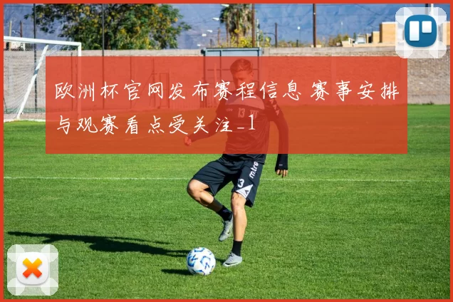 欧洲杯官网发布赛程信息 赛事安排与观赛看点受关注_1