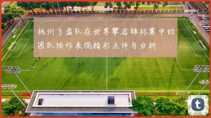 杭州飞盘队在世界攀岩锦标赛中的团队协作表现精彩点评与分析