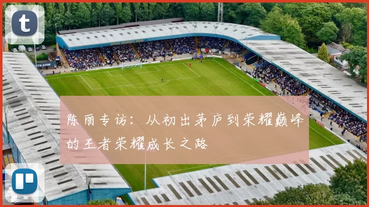 陈丽专访：从初出茅庐到荣耀巅峰的王者荣耀成长之路