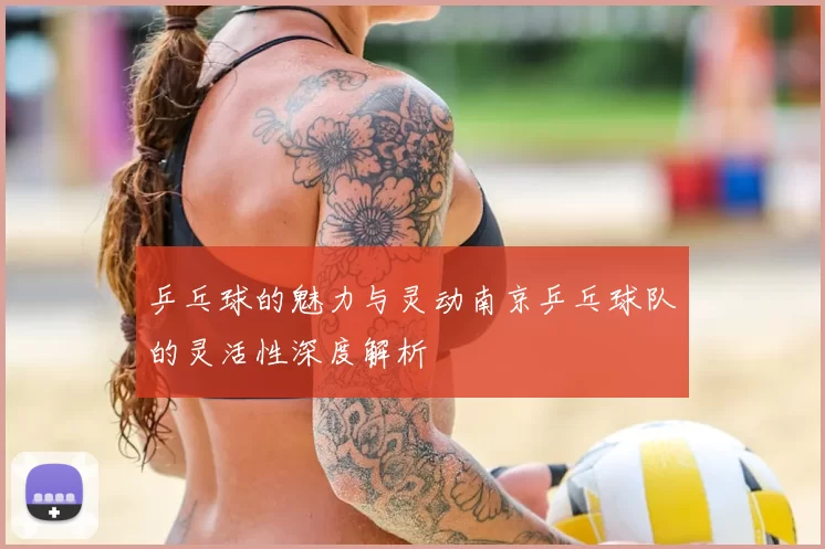 乒乓球的魅力与灵动南京乒乓球队的灵活性深度解析