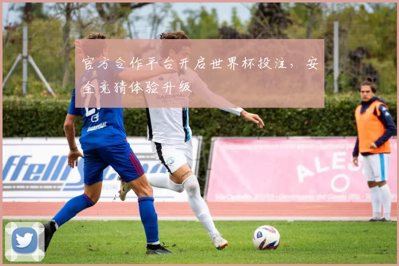 官方合作平台开启世界杯投注,安全竞猜体验升级