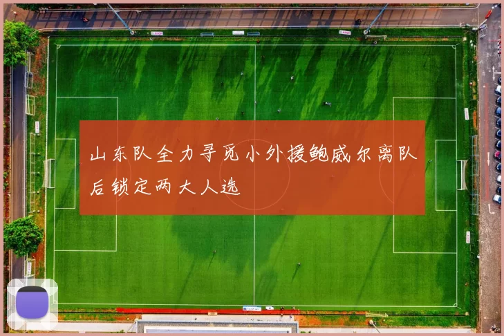 山东队全力寻觅小外援鲍威尔离队后锁定两大人选