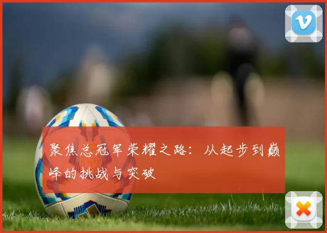 聚焦总冠军荣耀之路：从起步到巅峰的挑战与突破