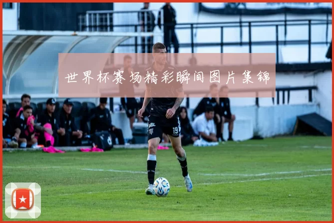 世界杯赛场精彩瞬间图片集锦