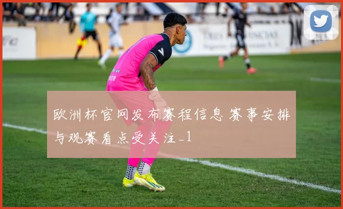欧洲杯官网发布赛程信息 赛事安排与观赛看点受关注_1