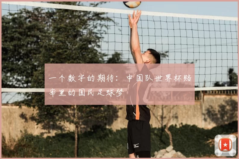 一个数字的期待：中国队世界杯赔率里的国民足球梦