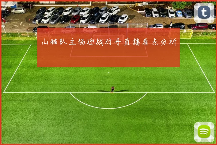 山猫队主场迎战对手直播看点分析