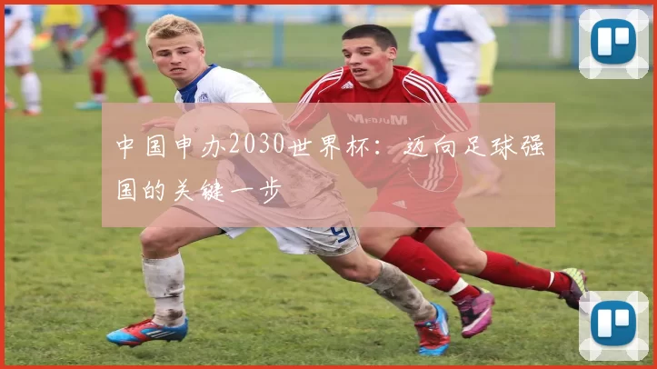 中国申办2030世界杯:迈向足球强国的关键一步