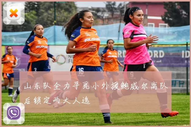 山东队全力寻觅小外援鲍威尔离队后锁定两大人选