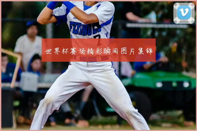 世界杯赛场精彩瞬间图片集锦