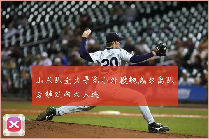 山东队全力寻觅小外援鲍威尔离队后锁定两大人选