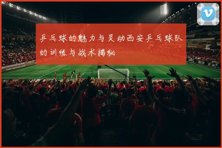 乒乓球的魅力与灵动西安乒乓球队的训练与战术揭秘