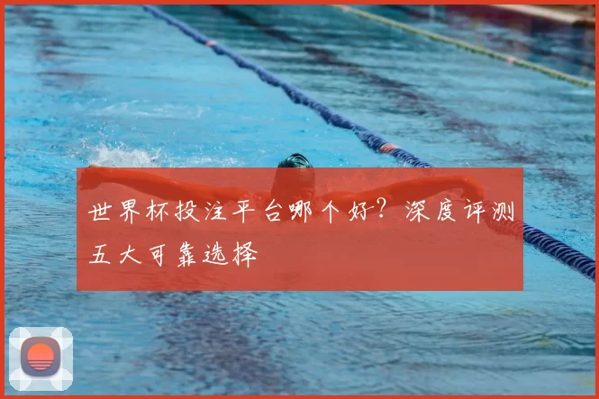 世界杯投注平台哪个好?深度评测五大可靠选择