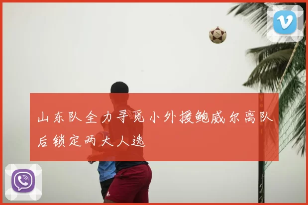 山东队全力寻觅小外援鲍威尔离队后锁定两大人选