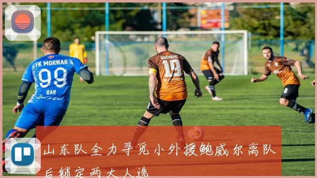 山东队全力寻觅小外援鲍威尔离队后锁定两大人选