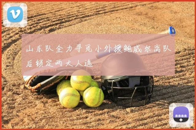 山东队全力寻觅小外援鲍威尔离队后锁定两大人选