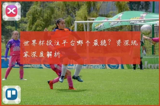 世界杯投注平台哪个最稳?资深玩家深度解析