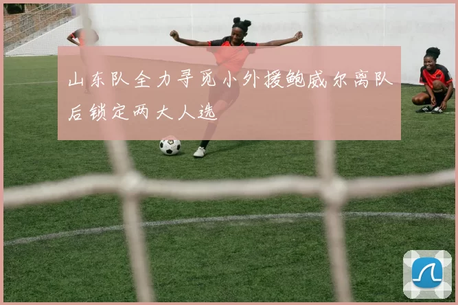 山东队全力寻觅小外援鲍威尔离队后锁定两大人选