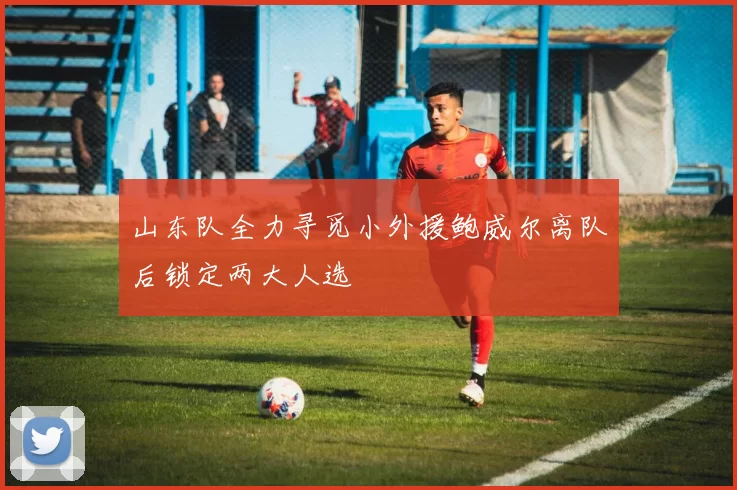 山东队全力寻觅小外援鲍威尔离队后锁定两大人选