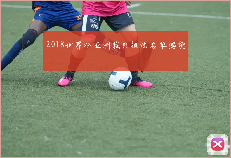 2018世界杯亚洲裁判执法名单揭晓